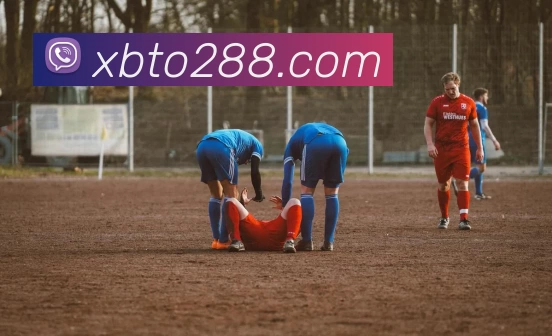 XBTO官网服务体系