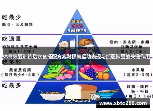 体育恢复训练后饮食搭配方案对提高运动表现与加速恢复的关键作用